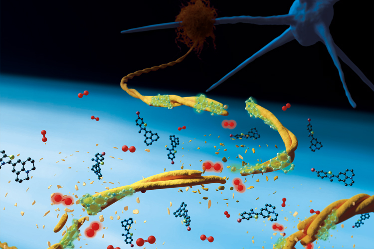 Unió dels fotocatalitzadors a fibres amiloides patogèniques, per a la seva destrucció selectiva al ser irradiades