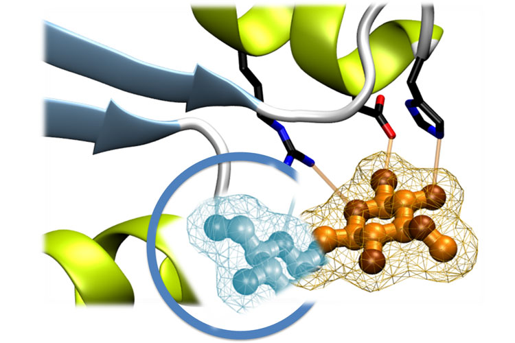 Simulación de diseño de un enzima in-silico