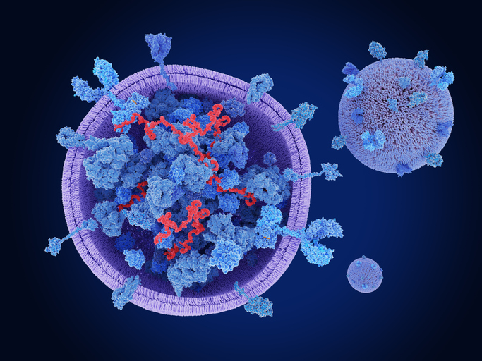 Extracellular Vesicles manufacturing platform, purification and RNA loading